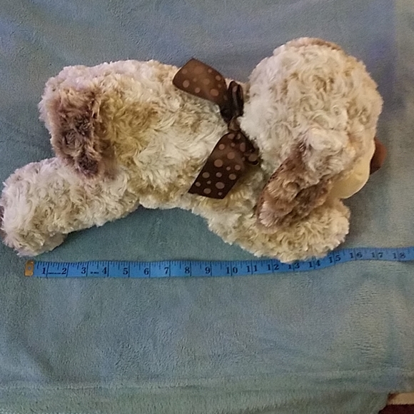 Brand new puppy - Picture 4 of 7